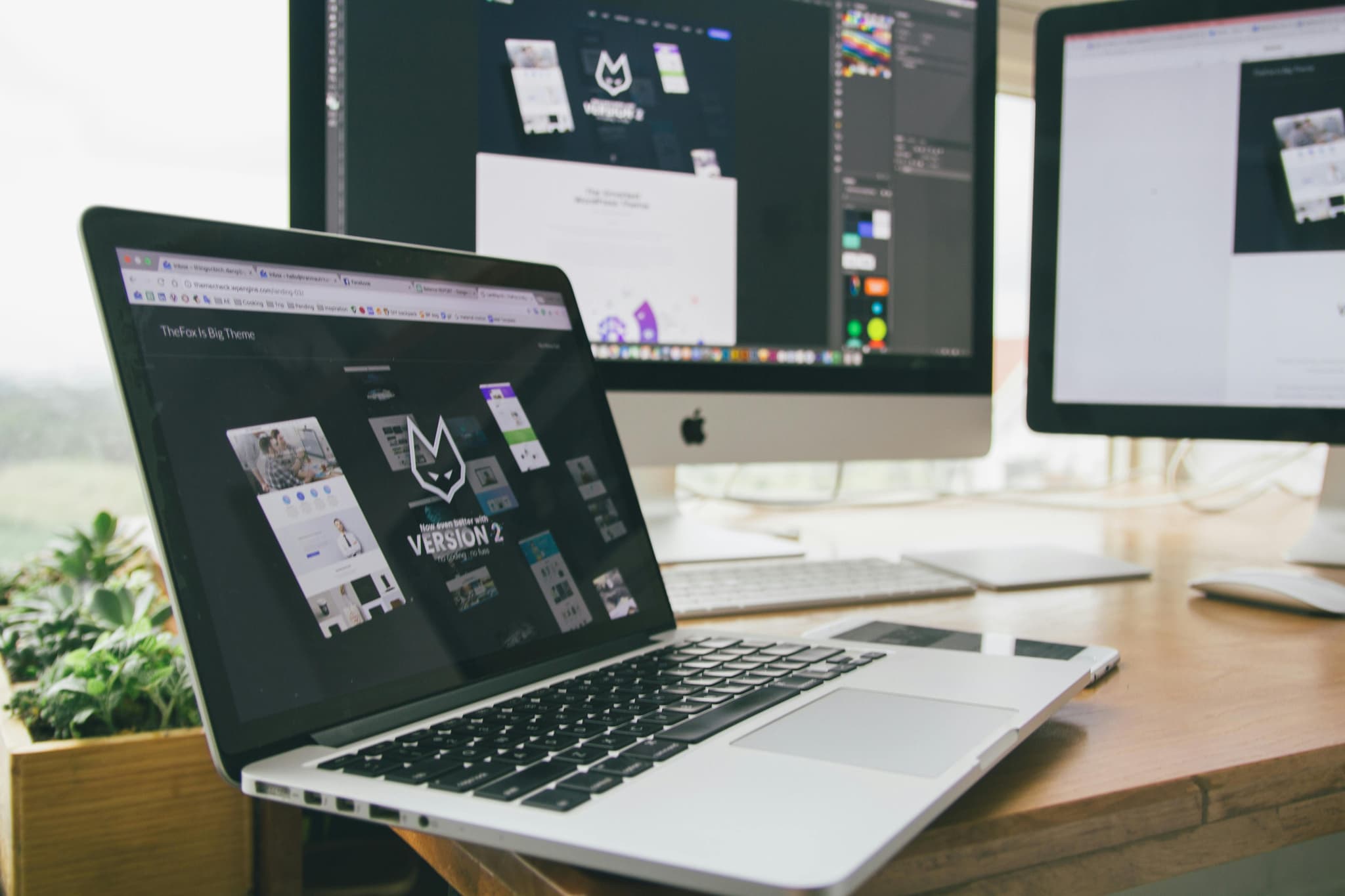 Web Development Visual